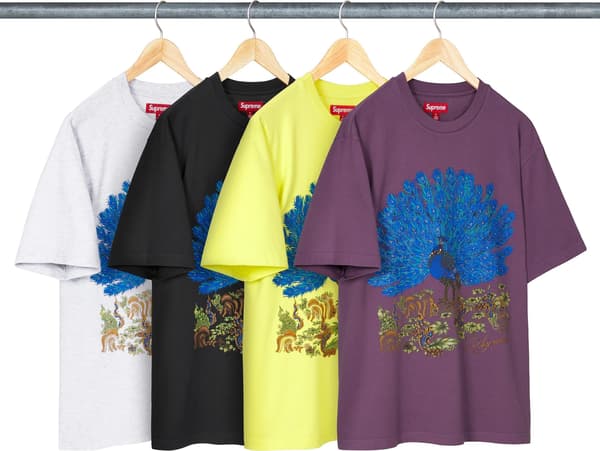 Supreme Peacock S/S Top - Product Image