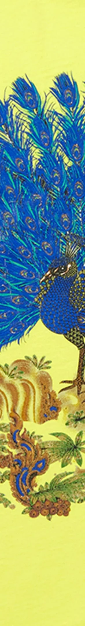 Supreme Peacock S/S Top - Lime (front)