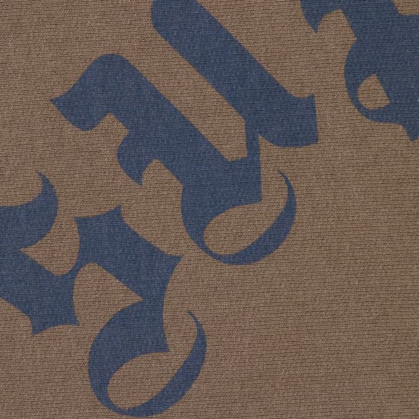 Supreme Printed Arc Hooded Sweatshirt - Dusty Brown (front)