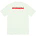 Supreme Ronin Tee - Pale Green (front)
