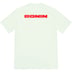 Supreme Ronin Tee - Pale Green (front)