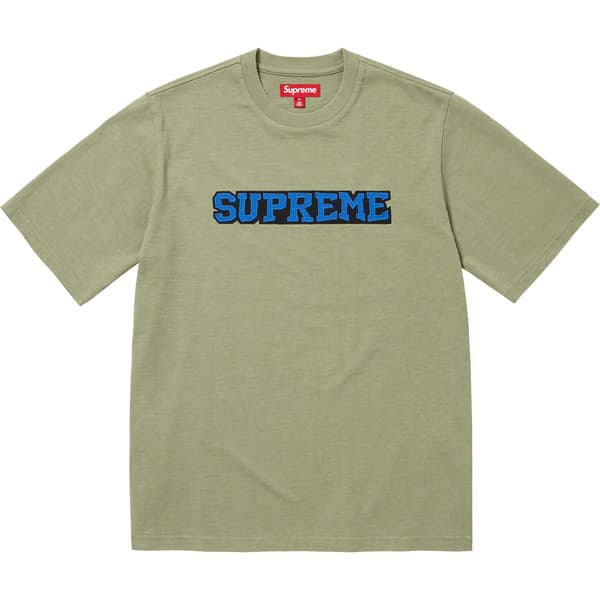 Supreme Satin Appliqué S/S Top - Light Olive (front)