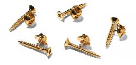 Supreme Screw Pin Gold