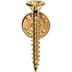 Supreme Screw Pin - Gold (front)