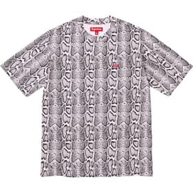 Supreme Small Box Tee Snake