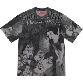 Supreme Snow White S/S Top Grey