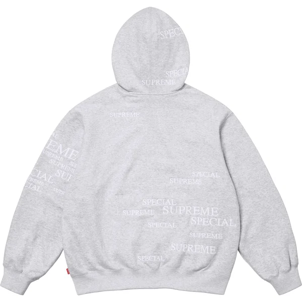 Supreme Special Zip Up Hooded Sweatshirt - Ash Grey (front)