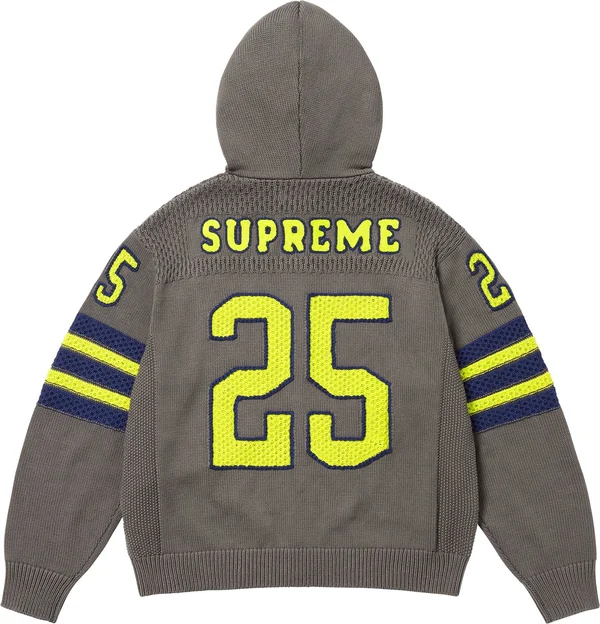 Supreme Sport Zip Up Hooded Sweater - Grey (front)