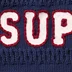 Supreme Sport Zip Up Hooded Sweater - Navy (front)