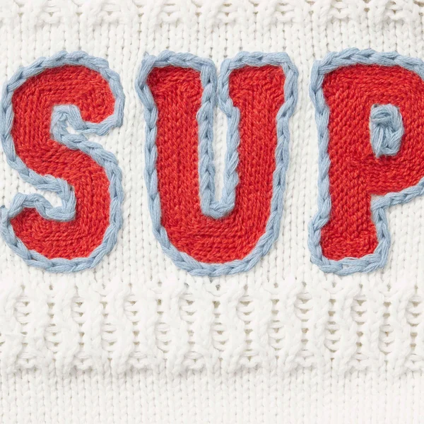 Supreme Sport Zip Up Hooded Sweater - White (front)