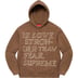 Supreme Stronger Than Fear Hooded Sweatshirt - Olive Brown (front)