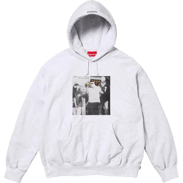 Supreme ANTIHERO Hooded Sweatshirt - Ash Grey (front)