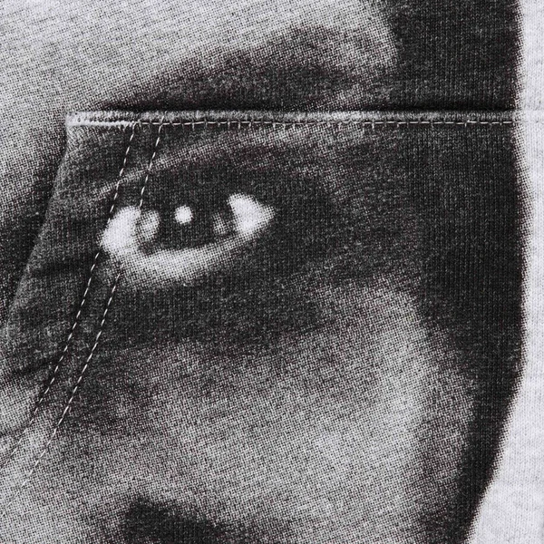 Supreme Aphex Twin Zip Up Hooded Sweatshirt - Heather Grey (front)