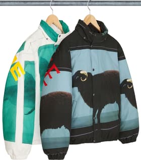 Supreme Damien Hirst Down Puffer Jacket