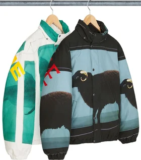 Supreme Damien Hirst Down Puffer Jacket