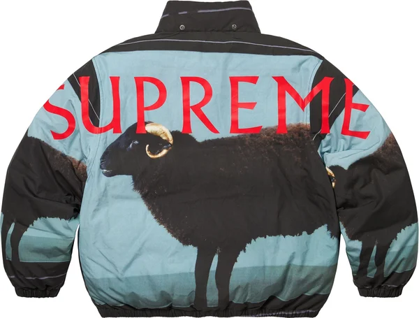 Supreme Damien Hirst Down Puffer Jacket - Black (front)