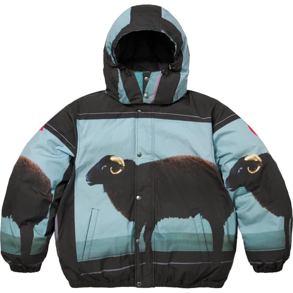 Supreme Damien Hirst Down Puffer Jacket - Black (front)