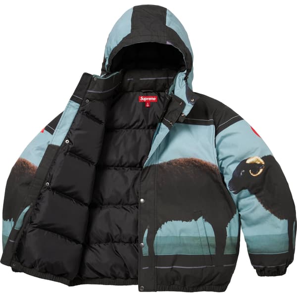 Supreme Damien Hirst Down Puffer Jacket - Black (front)