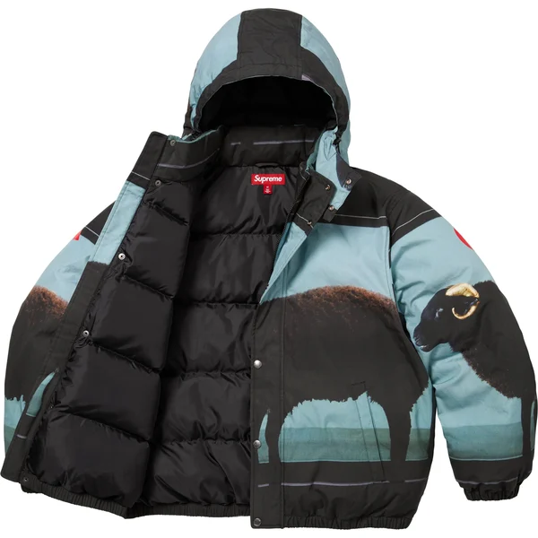 Supreme Damien Hirst Down Puffer Jacket - Black (front)