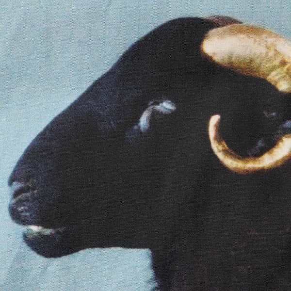 Supreme Damien Hirst Down Puffer Jacket - Black (front)