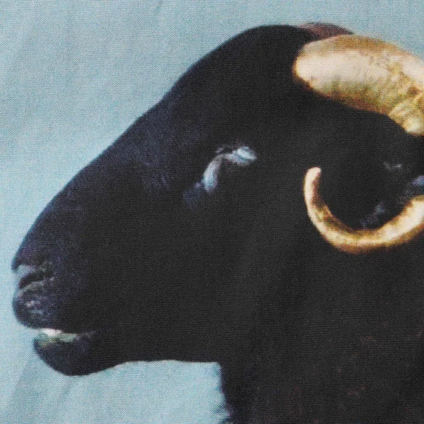 Supreme Damien Hirst Down Puffer Jacket - Black (front)