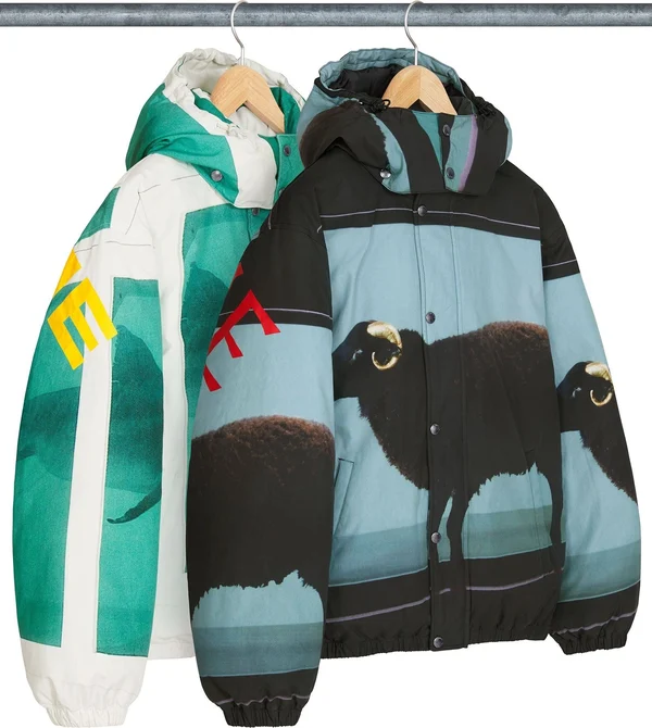 Supreme Damien Hirst Down Puffer Jacket - Group Shots (front)
