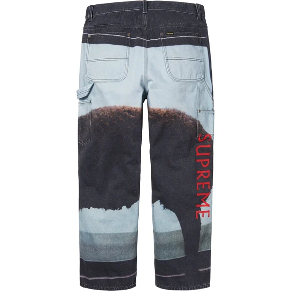 Supreme Damien Hirst Painter Jean - Black (front)