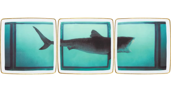 Supreme Damien Hirst Rosenthal Tray (Set of 3) - Product Image