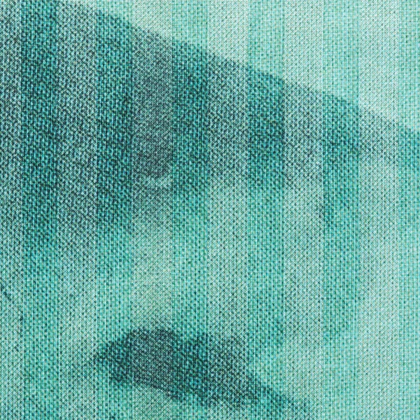 Supreme Damien Hirst Soccer Jersey - White (front)