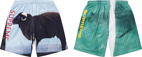 Supreme Damien Hirst Soccer Short - Product Image