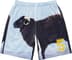 Supreme Damien Hirst Soccer Short - Black (front)