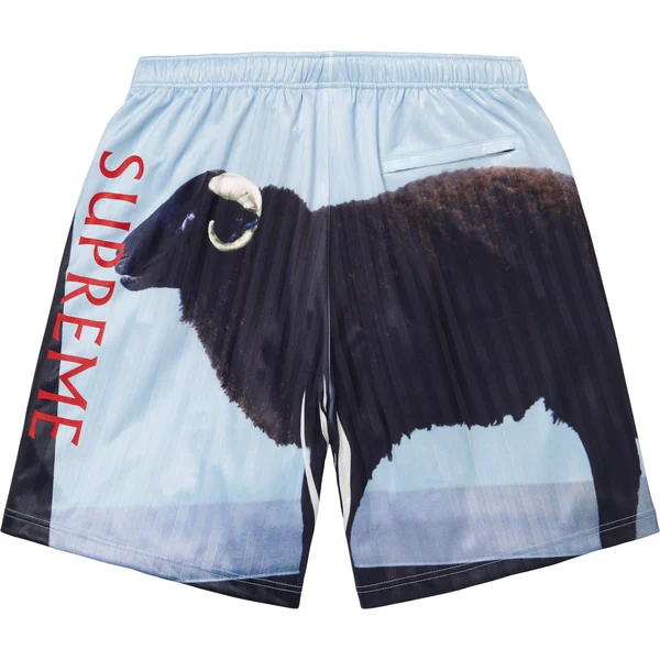Supreme Damien Hirst Soccer Short - Black (front)