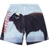 Supreme Damien Hirst Soccer Short - Black (front)