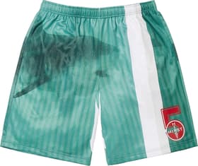 Supreme Damien Hirst Soccer Short White