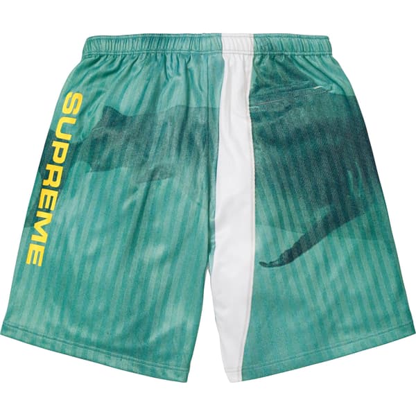 Supreme Damien Hirst Soccer Short - White (front)