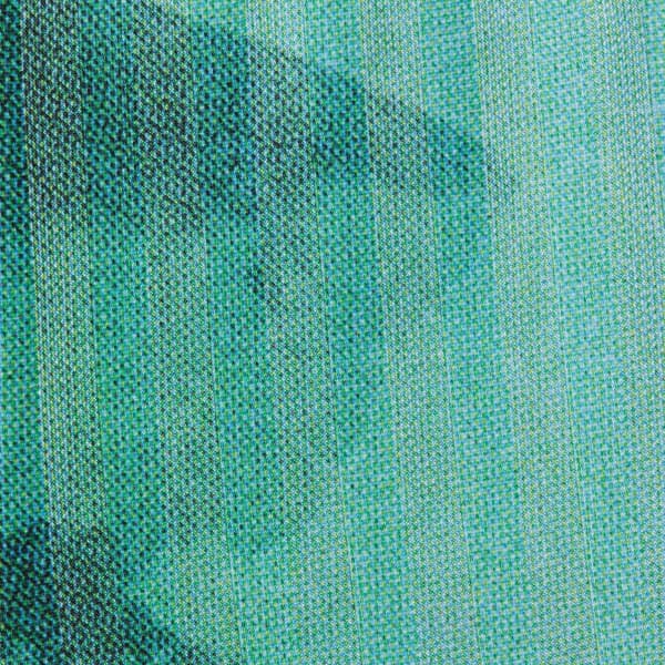 Supreme Damien Hirst Soccer Short - White (front)