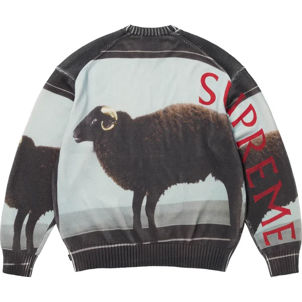 Supreme Damien Hirst Sweater - Black (front)