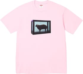 Supreme Damien Hirst Tee