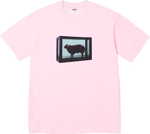 Supreme Damien Hirst Tee - Product Image