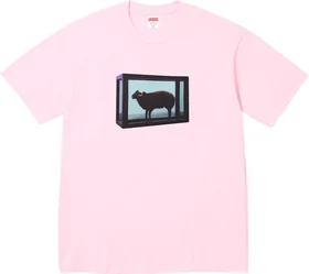 Supreme Damien Hirst Tee