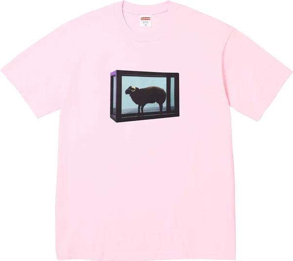 Supreme Damien Hirst Tee - Product Image