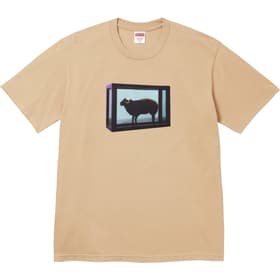Supreme Damien Hirst Tee Khaki
