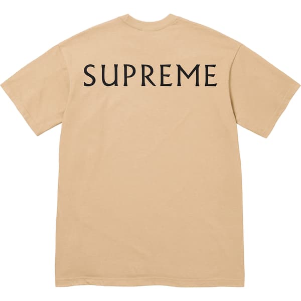 Supreme Damien Hirst Tee - Khaki (front)