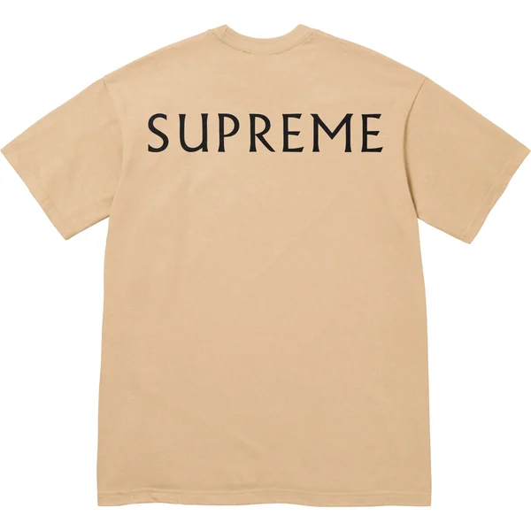 Supreme Damien Hirst Tee - Khaki (front)