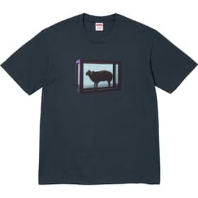 Supreme Damien Hirst Tee Navy
