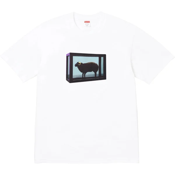 Supreme Damien Hirst Tee - White (front)