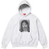 Supreme Dash Snow Hooded Sweatshirt - Ash Grey (front)