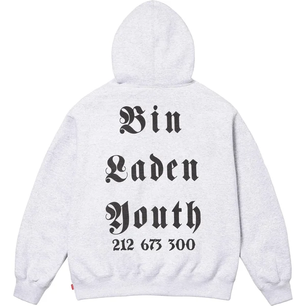 Supreme Dash Snow Hooded Sweatshirt - Ash Grey (front)