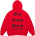 Supreme Dash Snow Hooded Sweatshirt - Red (front)
