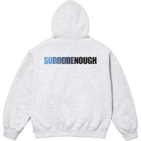 Supreme GOODENOUGH Hooded Sweatshirt Ash Grey